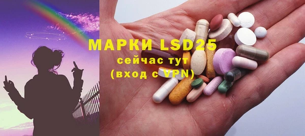 крисы Абаза