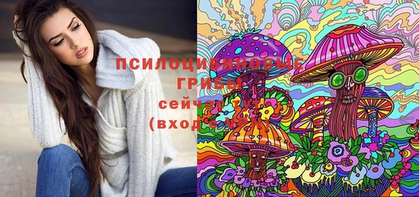 крисы Абаза
