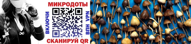 Псилоцибиновые грибы мухоморы  Тотьма 
